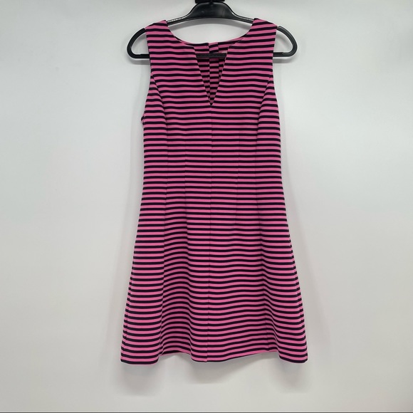 Lilly Pulitzer Brielle Hotty Pink Ottoman Stripe Stretch Fit Flare Dress Size M - Picture 2 of 10